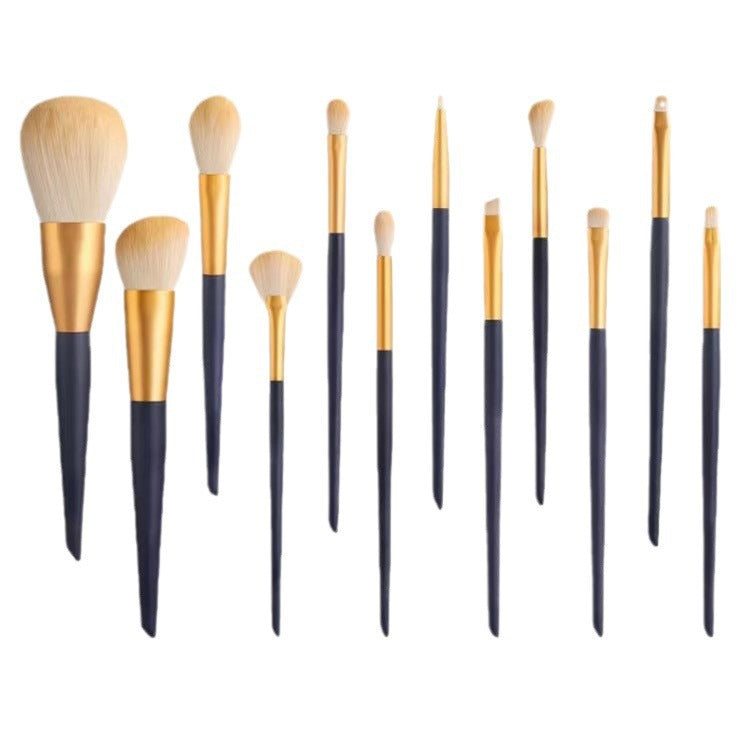 A set of 12 makeup brushes