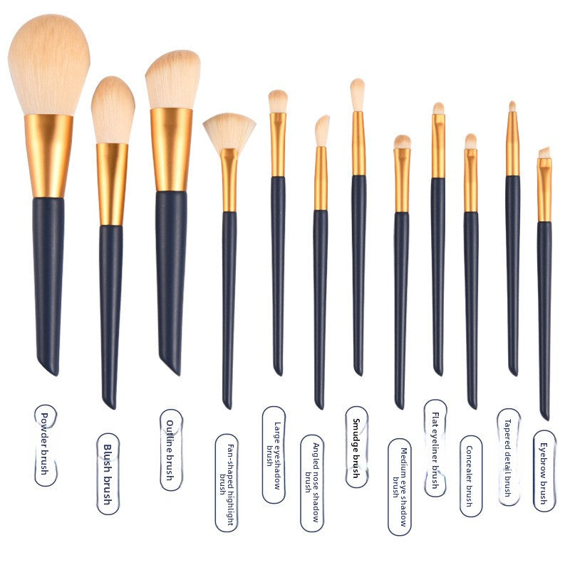 A set of 12 makeup brushes